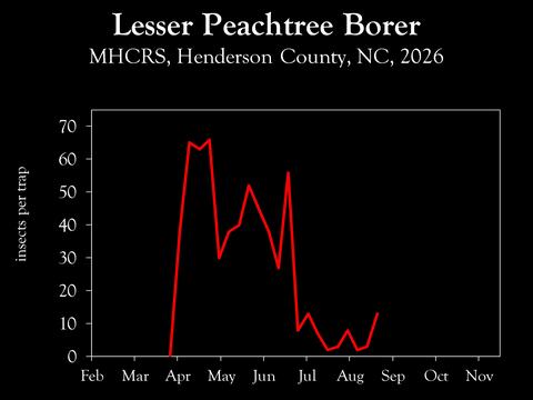 Chart showing insect population trends