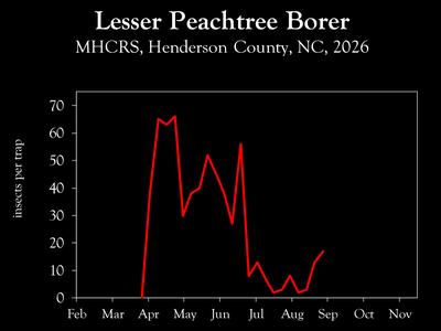 Chart showing insect population trends