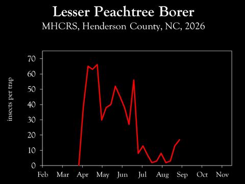 Chart showing insect population trends