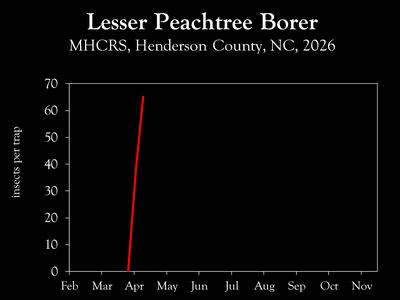Chart showing insect population trends