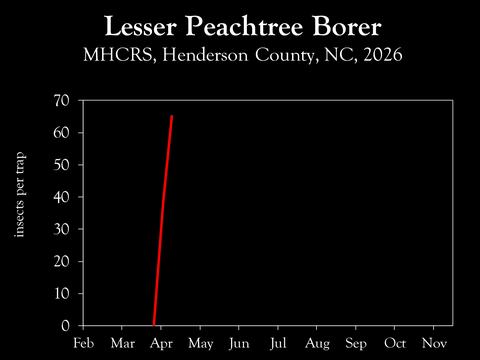 Chart showing insect population trends