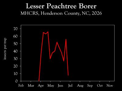 Chart showing insect population trends