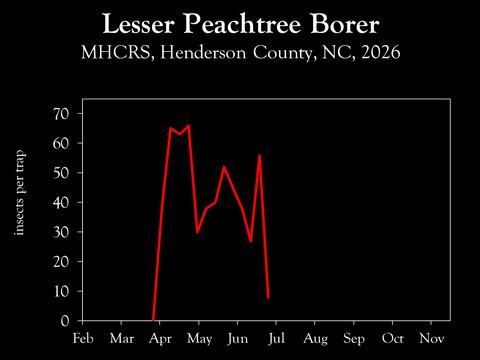 Chart showing insect population trends
