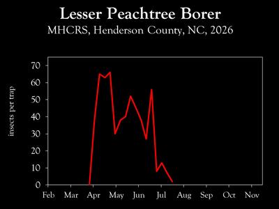 Chart showing insect population trends