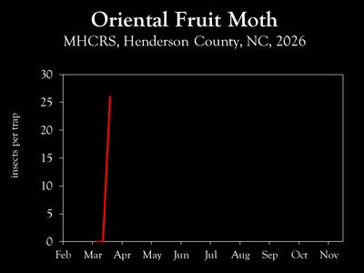 Chart showing insect population trend