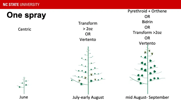 Image recommending Centric in June, Transform >2oz OR Vertendo during July-early August, and pyrethroid + Orthene OR Bidrin OR Transform >2oz OR Vertento during mid-August through September
