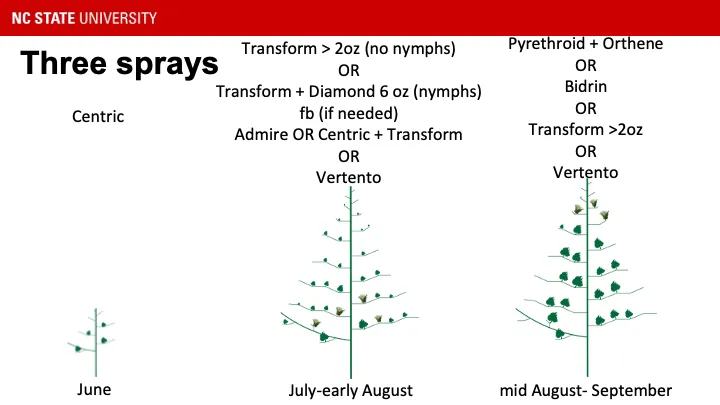 Recommending Centric in June, Transform > 2oz (no nymphs)ORTransform + Diamond 6 oz (nymphs)fb (if needed)Admire OR Centric + TransformOR Vertento July-early August, and Pyrethroid + OrtheneORBidrinORTransform >2ozOR Vertento later