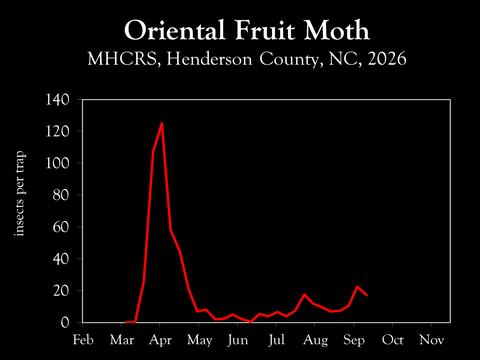 Chart showing insect population trends