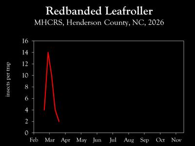 Chart showing insect population trend
