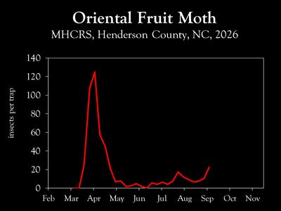 Chart showing insect population trends.