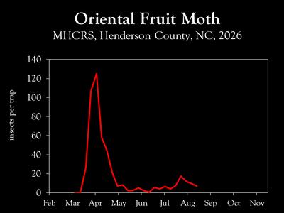 Chart showing insect population trends