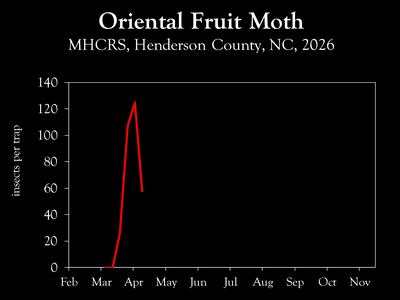 Chart showing insect population trends