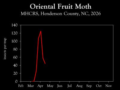 Chart showing insect population trends