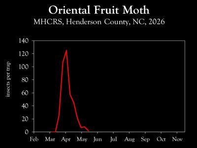 Chart showing insect population trends