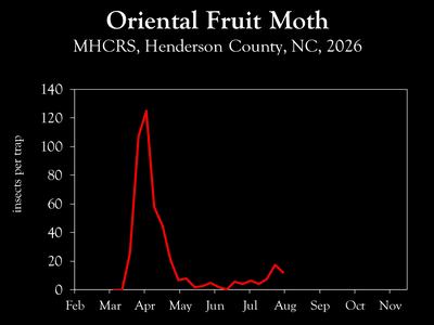 Chart showing insect population trends
