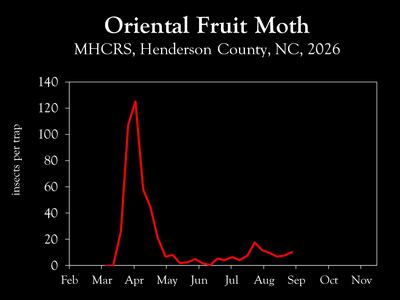 Chart showing insect population trends