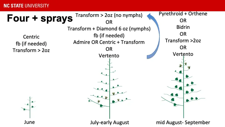 Centricfb (if needed)Transform > 2oz June, Transform (no nymphs)ORTransform + Diamond 6 oz (nymphs)fb Admire OR Centric + TransformOR VertentoJun-early Aug, Pyrethroid + OrtheneORBidrinORTransformOR Vertento later