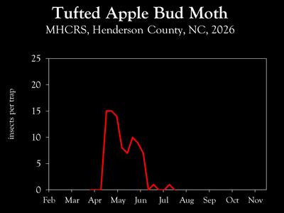 Chart showing insect population trends