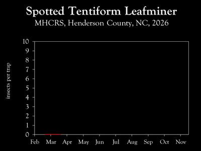 Chart showing insect population trend