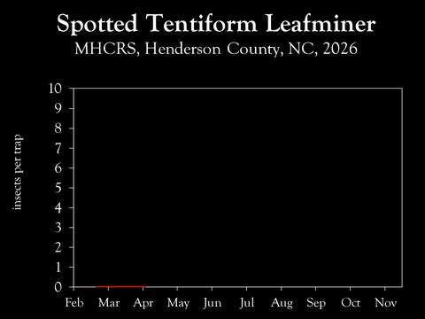 Chart showing insect population trends