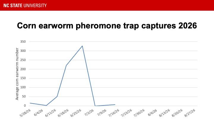 graph of corn earworm trap catches July 14