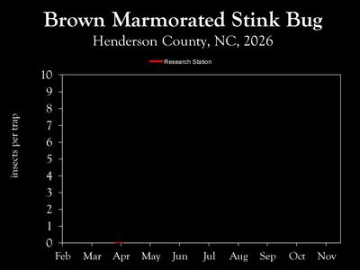 Chart showing insect population trends
