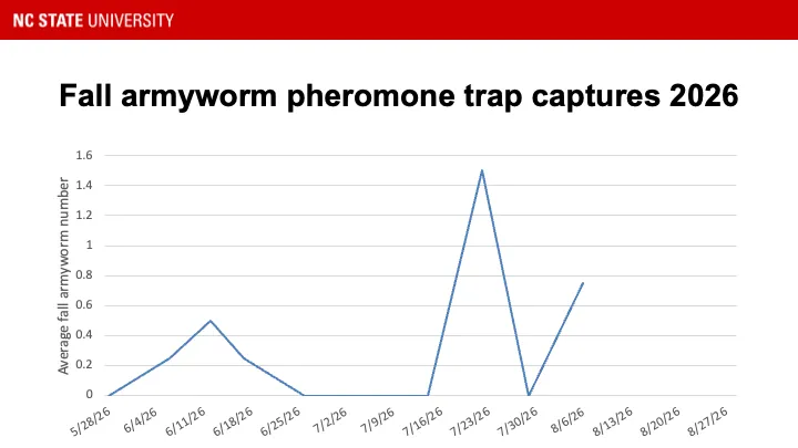 Soybean looper pheromone trap catches