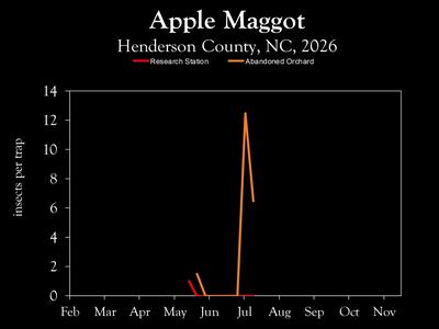Chart showing insect population trends
