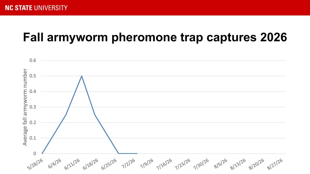 Graph showing fall armyworm trap catches