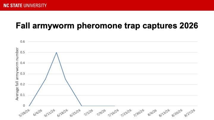 graph of fall armyworm pheromone trap catches