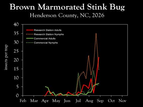 Chart showing insect population trends