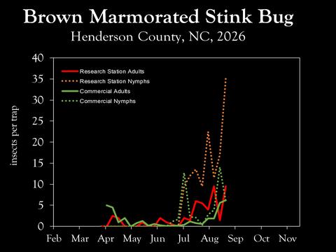 Chart showing insect population trends