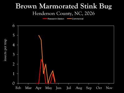Chart showing insect population trends