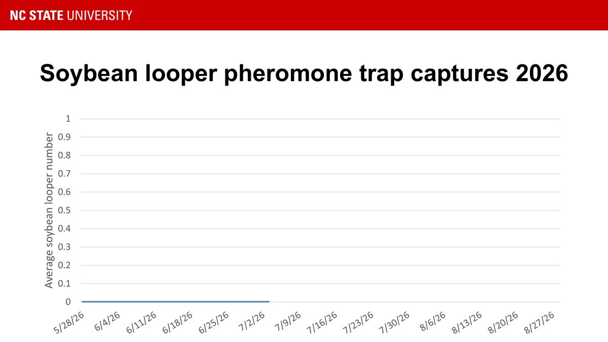 Graph showing that we've caught zero soybean loopers