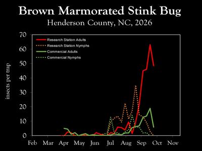 Chart showing insect population trends