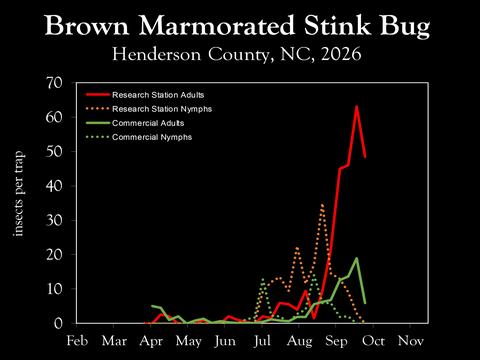 Chart showing insect population trends