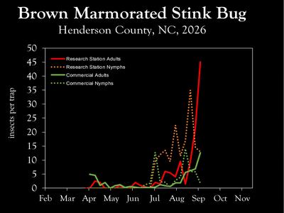 Chart showing insect population trends