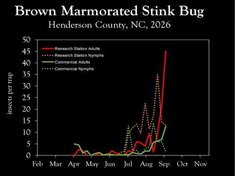 Chart showing insect population trends