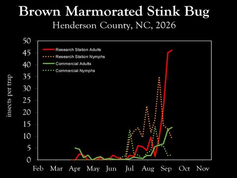 Chart showing insect population trends