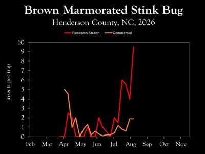 Chart showing insect population trends