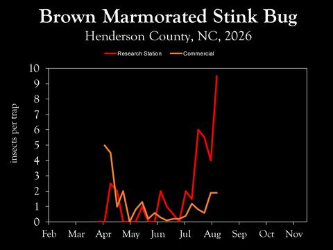 Chart showing insect population trends