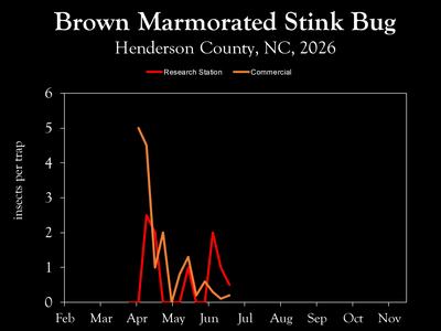 Chart showing insect population trends