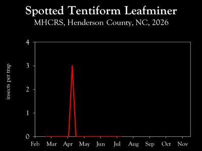 Chart showing insect population trends