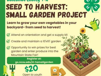 small garden project information