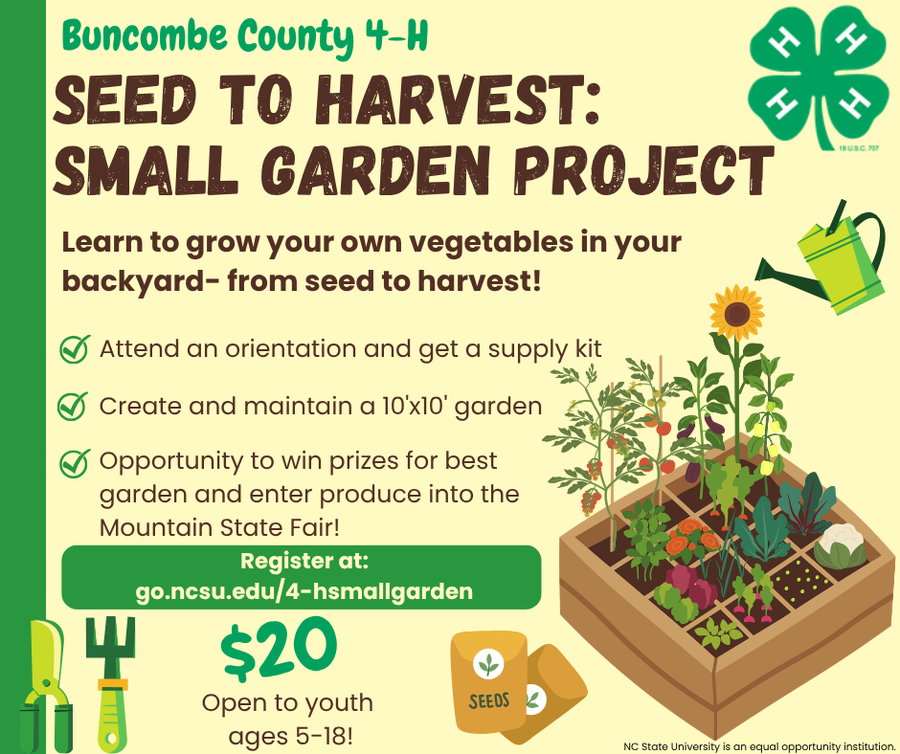 small garden project information