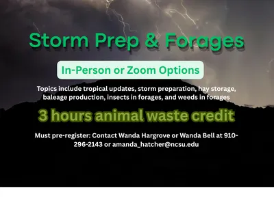 information on Storm prep and forages