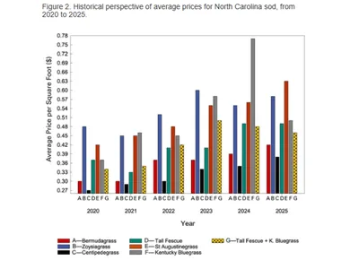 Bar chart of North Carolina sod prices from 2020 to 2025. Colors represent grass types like Bermudagrass and Tall Fescue; prices rise over time.