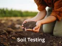 hands cupped together full of soil from a person kneeled down in the soil