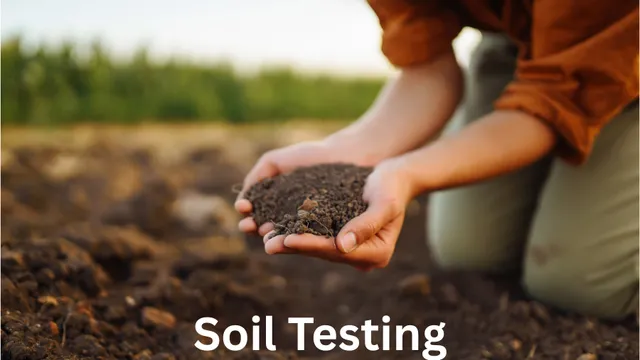 hands cupped together full of soil from a person kneeled down in the soil
