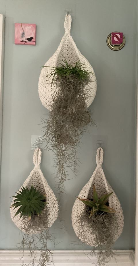 Spanish moss dangling from decorative planters in home